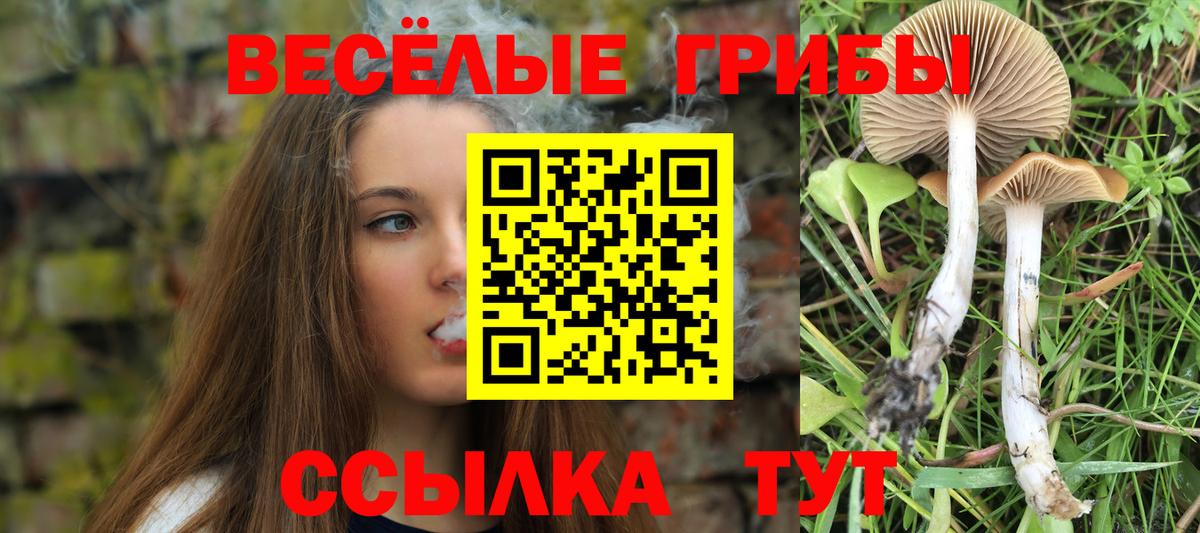 Галлюциногенные грибы ЛСД Ликино-Дулёво
