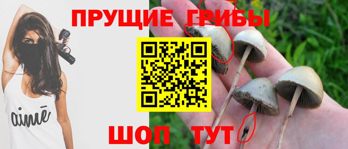 Псилоцибиновые грибы GOLDEN TEACHER  Галлюциногенные грибы Cubensis  Вход с VPN  Ликино-Дулёво 