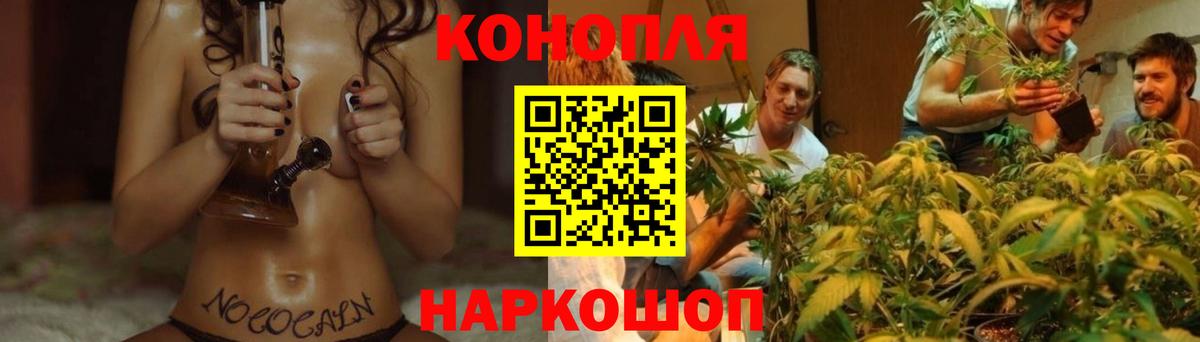 Бошки Шишки планчик Ликино-Дулёво